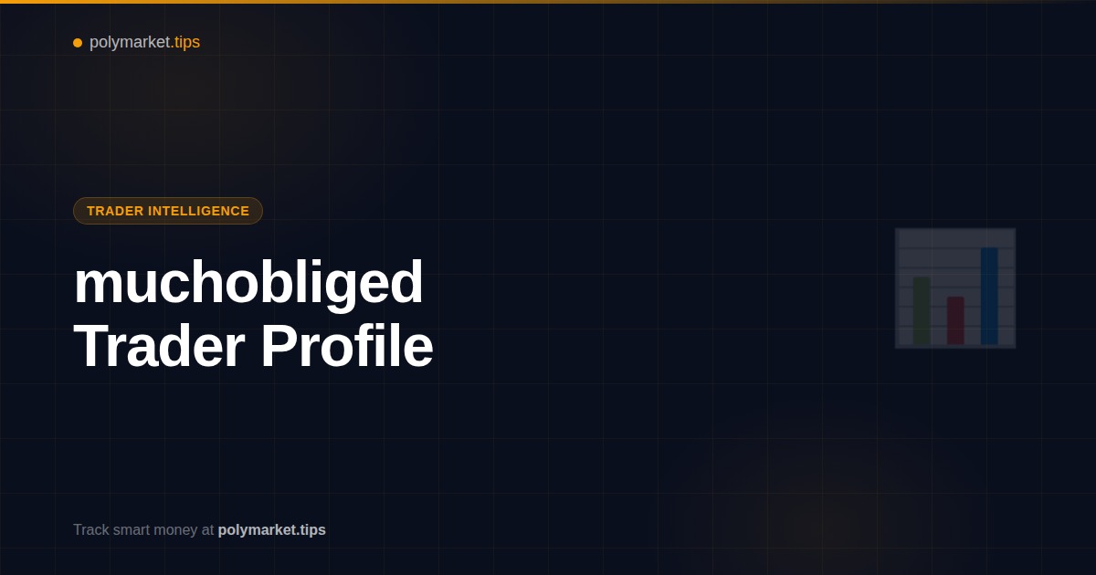muchobliged Polymarket trader profile and strategy analysis